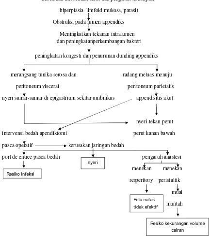 Gambar 2.1Alur asuhan keperawatan pasien appendiktomi menurut Mutaqin (2011),
