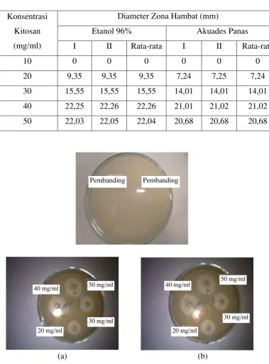 Tabel 4.3 Data Diameter Zona Hambat Kitosan terhadap bakteri 