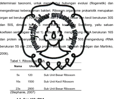 Tabel 1. Ribosomal RNA 