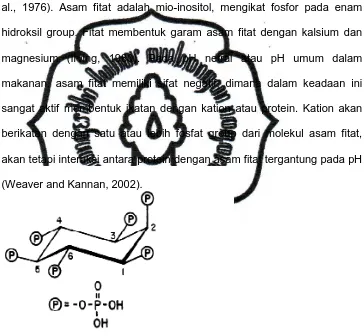 Gambar 1. Struktur Asam Fitat (Graf, 1983)