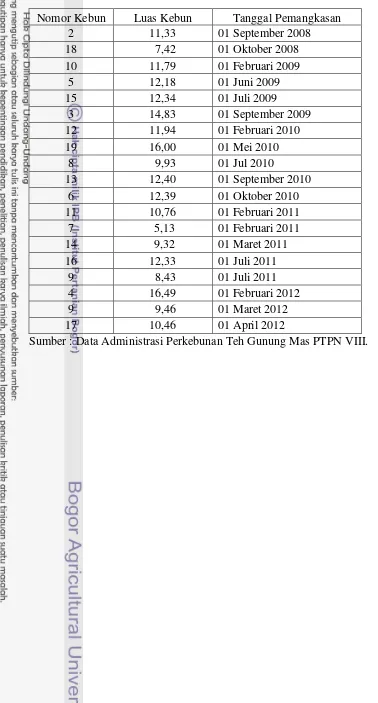 Tabel Lampiran 11.  Riwayat Jadwal Pemangkasan Teh di Perkebunan Teh Gn Mas PTPN VIII Periode Tahun 2008 - 2012 