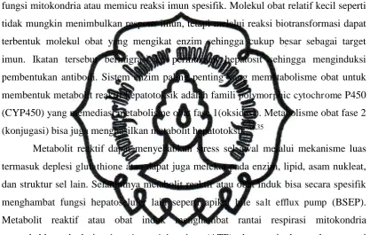 gambar 2 meliputi:35 