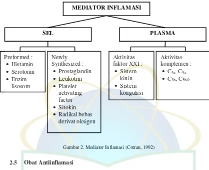 Gambar 2. Mediator Inflamasi (Cotran, 1992) 