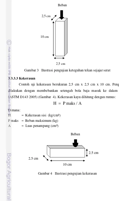 Beberapa Sifat Dasar Kayu Surian Toona Sinensis Asal Kabupaten Indramayu Jawa Barat