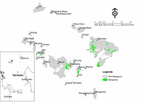 Figure 1. The distribution of mangrove ecosystems in Tambelan Islands, Natuna Sea, Indonesia
