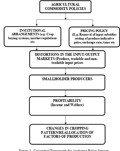 Figure 2. Conceptual Framework for Analyzing Policy Impacts