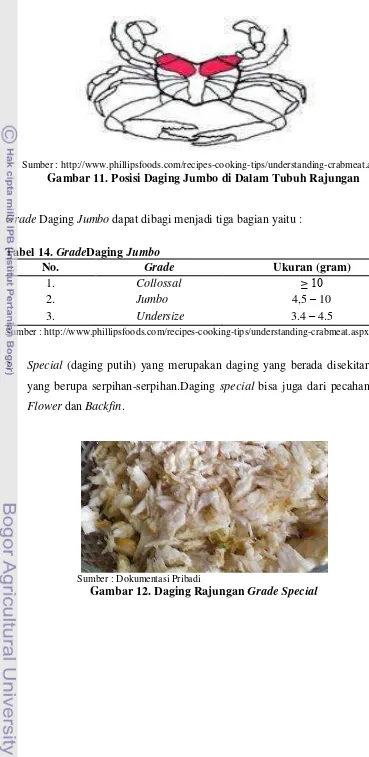Gambar 12. Daging Rajungan Grade Special 