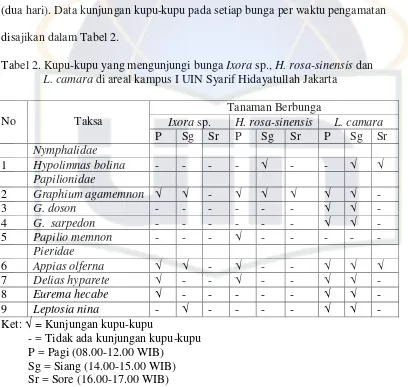 Tabel 2. Kupu-kupu yang mengunjungi bunga Ixora sp., H. rosa-sinensis dan  