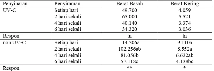 Tabel 8. Pengaruh penyinaran UV�C dan periode penyiraman terhadap kadar air relatif daun Sambung Nyawa 