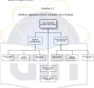 Struktur organisasi Divisi Asuransi Jiwa SyariahGambar 4.2  