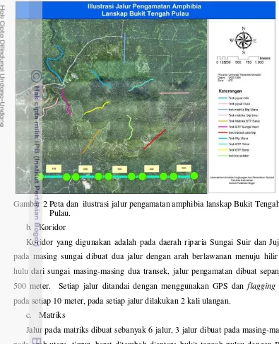 Gambar 2 Peta dan  ilustrasi jalur pengamatan amphibia lanskap Bukit Tengah   