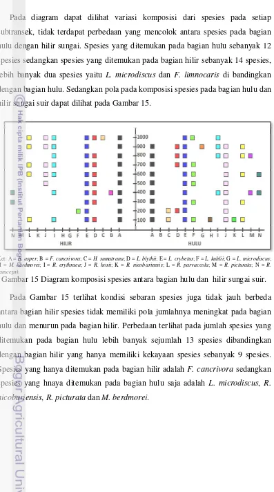 Gambar 15 Diagram komposisi spesies antara bagian hulu dan  hilir sungai suir. 