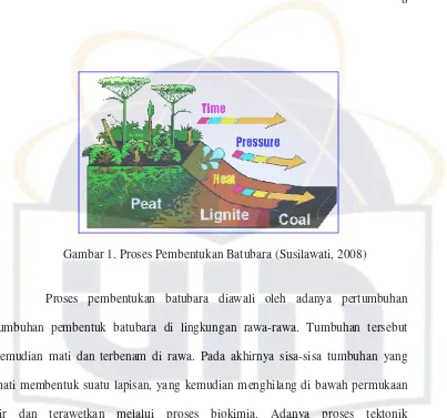 Gambar 1. Proses Pembentukan Batubara (Susilawati, 2008) 