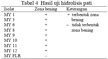 Tabel 4  Hasil uji hidrolisis pati 