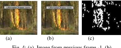 Fig 3: (a). Frame from source image, (b). Result of segmentation Multi Color Feature 
