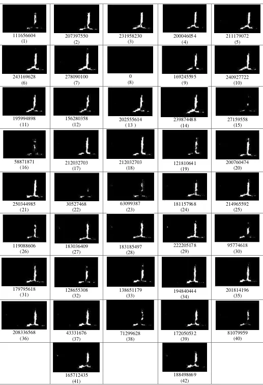 Fig.7. Results of 42 image segmentation frames and its Feature Extraction 