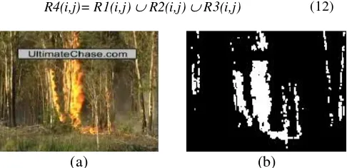 Fig 3: (a). Frame from source image, (b). Result of segmentation Multi Color Feature 