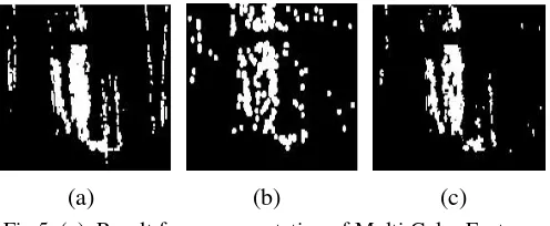 Fig.5. (a). Result from segmentation of Multi Color Feature (b). Result from Background Subtraction, (c)