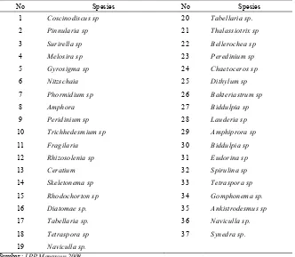 Tabel 8  Jenis fitoplankton di kawasan mangrove Kabupaten Kubu Raya 