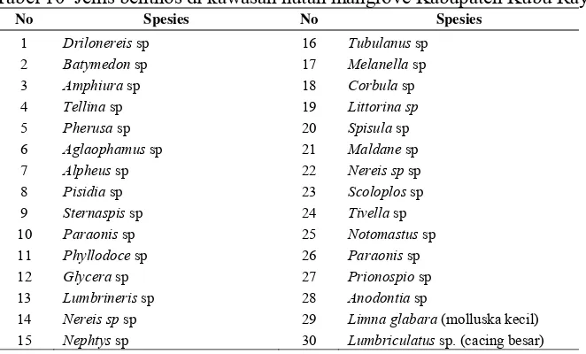 Tabel 10  Jenis benthos di kawasan hutan mangrove Kabupaten Kubu Raya 
