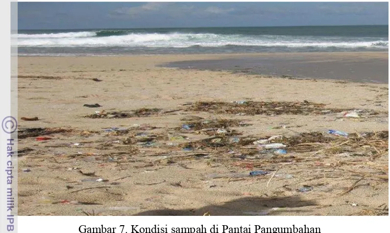 Gambar 7. Kondisi sampah di Pantai Pangumbahan