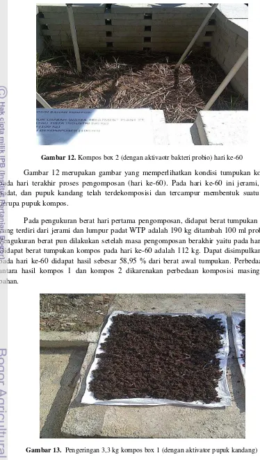Gambar 13.  Pengeringan 3,3 kg kompos box 1 (dengan aktivator pupuk kandang) 