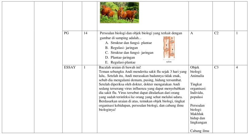 gambar di samping adalah... 