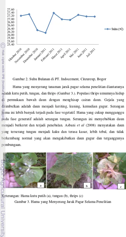 Gambar 2. Suhu Bulanan di PT. Indocement, Citeureup, Bogor 