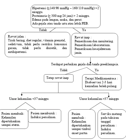 Gambar 1. Algoritme penanganan preeklampsia ringan (POGI, 2005) 
