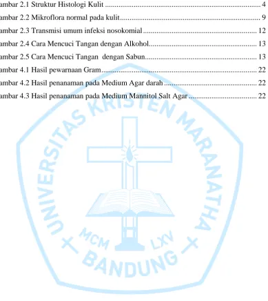 Gambar 2.1 Struktur Histologi Kulit .................................................................................