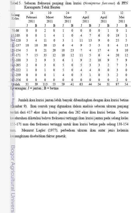 Tabel 5. Sebaran frekuensi panjang ikan kurisi (Nemipterus furcosus) di PPN Karangantu Teluk Banten   