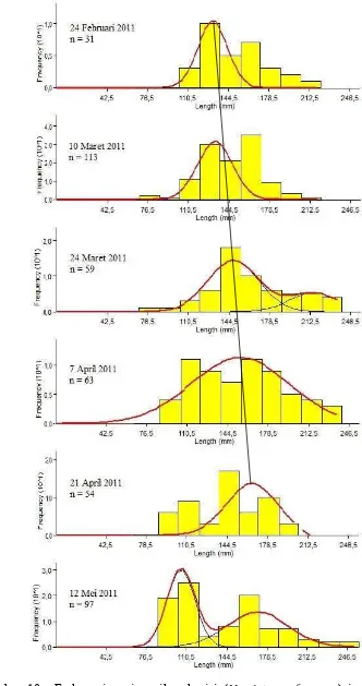 Gambar 10.  Frekuensi panjang ikan kurisi ( Nemipterus furcosus) jantan periode 