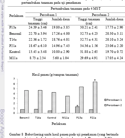 Tabel 3  Pengaruh perlakuan isolat F. oxysporum non-patogenik (NPFo) terhadap               pertumbuhan tanaman pada uji penekanan 