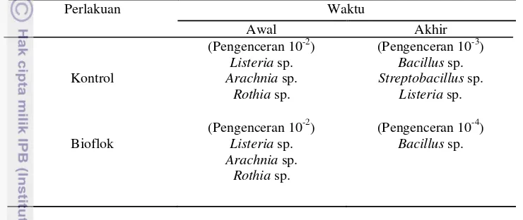 Tabel 2. Hasil identifikasi bakteri dalam usus  ikan nila Oreochromis niloticus pada perlakuan kontrol dan BFT pada hari ke 1 dan ke 84