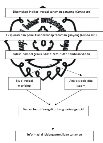 Gambar 1. Skema kerangka berfikir 