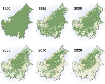 Gambar 1. Ilustrasi kerusakan hutan di Kalimantan  