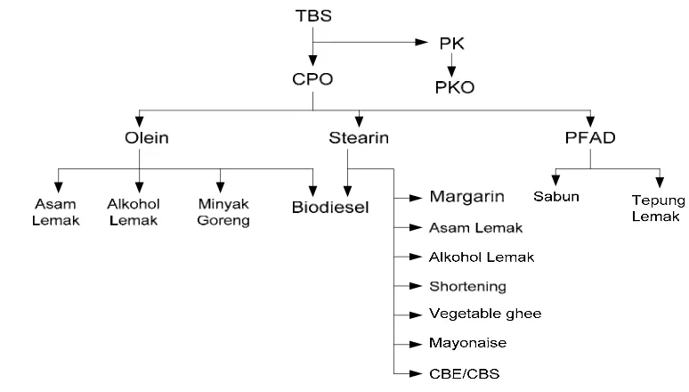 Gambar 4.  Diagram Sederhana Produk Turunan dari Minyak Kelapa Sawit 