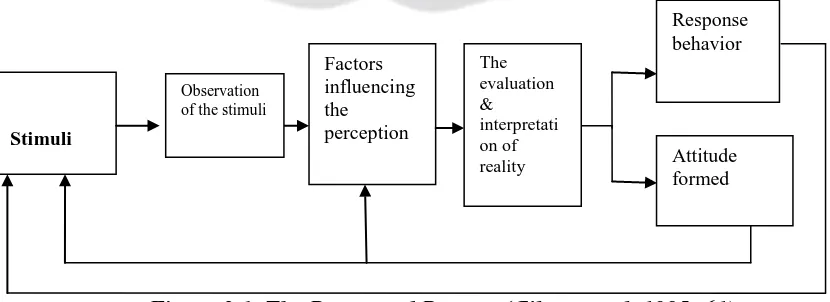 Figure 2.1. The Perceptual Process (Gibson et al. 1985: 61) 