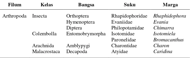 Tabel 1. Keanekaragaman Arthropoda di Gua Ngguwo 