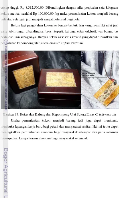 Gambar 17. Kotak dan Kalung dari Kepompong Ulat Sutera Emas C. trifenestrata 