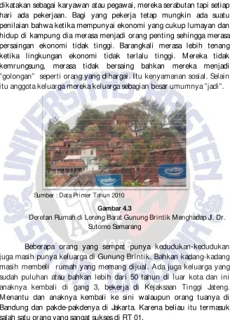 Gambar 4.3 Deretan Rumah di Lereng Barat Gunung Brintik Menghadap Jl. Dr.  
