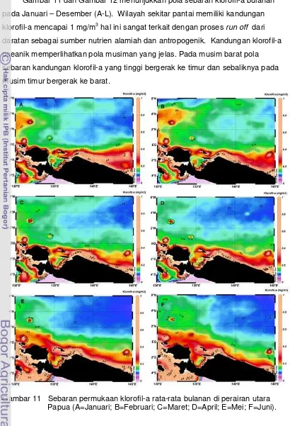 Gambar 11   Sebaran permukaan klorofil-a rata-rata bulanan di perairan utara Papua (A=Januari; B=Februari; C=Maret; D=April; E=Mei; F=Juni)