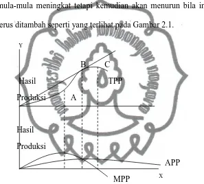 Gambar 2.1 Kurva Produksi, Produksi Rata-rata, Produksi Marginal serta Pembagian Daerah Produksi