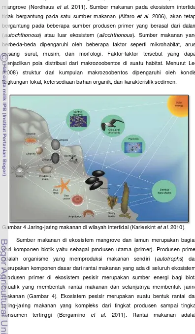 Gambar 4 Jaring-jaring makanan di wilayah intertidal (Karleskint et al. 2010). 