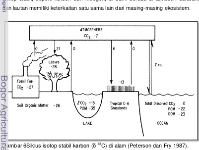 Gambar 6Siklus isotop stabil karbon (δ 13C) di alam (Peterson dan Fry 1987). 