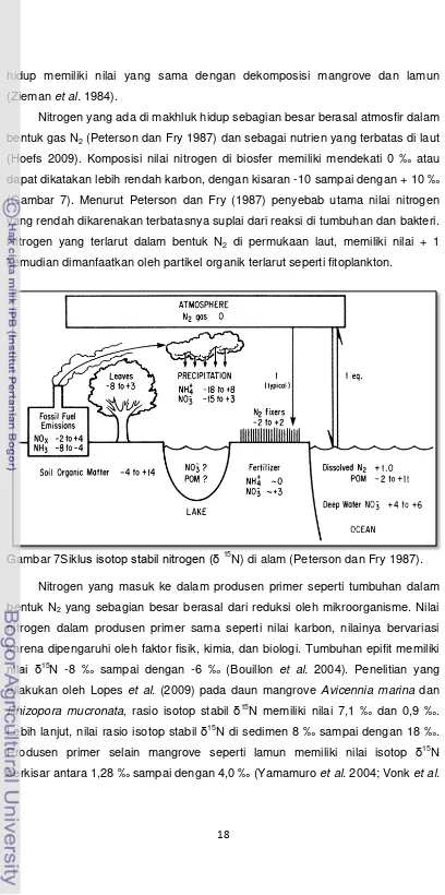 Gambar 7Siklus isotop stabil nitrogen (δ 15N) di alam (Peterson dan Fry 1987). 