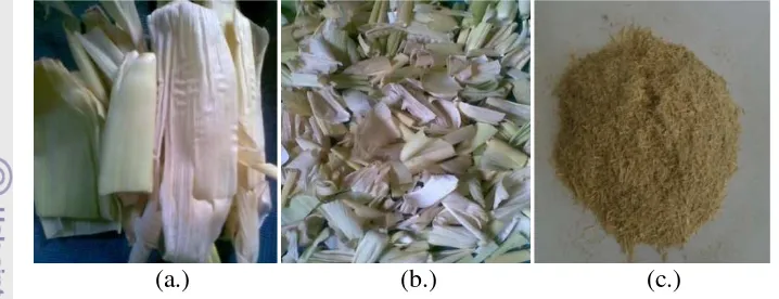 Gambar 8. (a.) Daun ubi jalar, (b.) Tangkai dan batang ubi jalar, (c.) Tepung limbah 