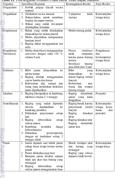 Tabel 11.  Pola Kegiatan Produksi Usaha Jamur Tiram Bapak Sukamto 