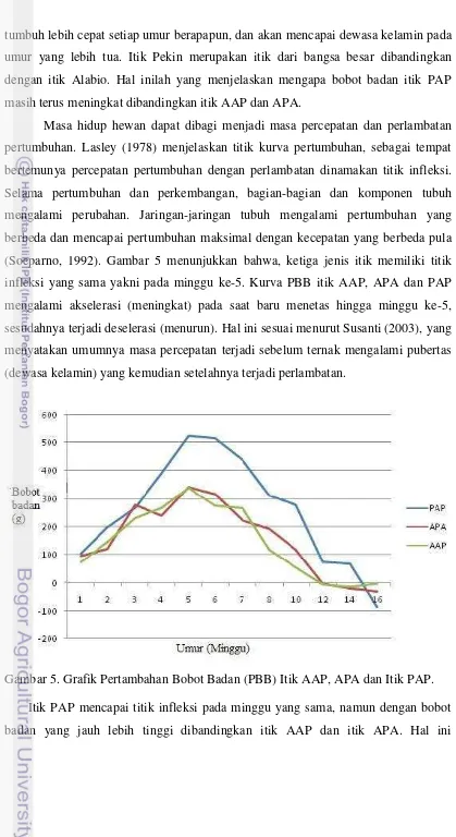 Gambar 5. Grafik Pertambahan Bobot Badan (PBB) Itik AAP, APA dan Itik PAP. 