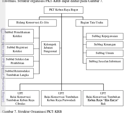 Gambar 7. Struktur Organisasi PKT-KRB 